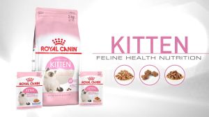 [1Kg-2Kg] Hạt ROYAL CANIN Kitten Dành Cho Mèo Con