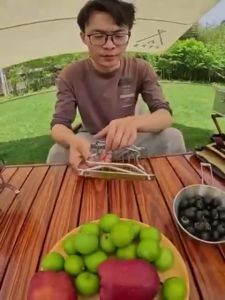 Barbecue Rack Gas Burner Stove Rack Outdoor Camping Portable Folding Burner Stove Stand Bracket