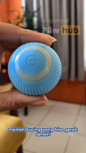 Mainan Kucing Bola Interaktif Bergerak Otomatis Rechargeable / Rechargeable Automatic Moving Interactive Ball Cat Toy