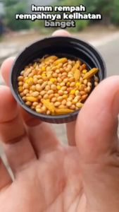 BMW Paket Lovebird Konslet Pakan Jebol Birahi + Mangcor Sebagai Penggacor Seketika