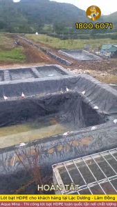 Bạt lót ao hồ 8m x 3m dày 0.3mm bảo hành 5 năm