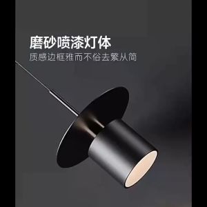 Đèn Thả Trần Sang Trọng Trang Trí Phòng Ngủ Phòng Khách và Khu Vực Công Cộng