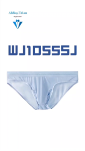 Mens Brief: Ice Silk Lace Waistband Brief with Elephant Trunk Pouch (WJ1055SJ)