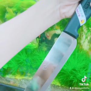 Dao Thái Lan làm bếp cán đen KIWI cao cấp ĐỦ SIZE siêu sắc bén tiện lợi HÀNG CHÍNH HÃNG LOẠI 1