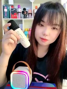 Mini Speaker Bluetooth Karaoke dengan 2 Mikrofon K12 Portabel