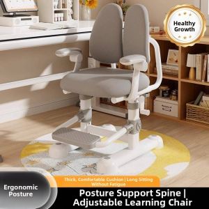 Adjustable Study Chair