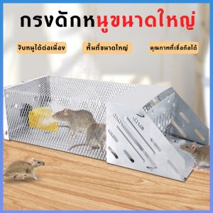 กระชับดักหนู รุ่นใหม่ 🐭กับดักหนู อัตโนมัติ การตอบกลับ กระจับไม่ต้อง ที่ดักหนู ที่จับหนู รุ่นใหม่ ผ่าน[GGJJ]