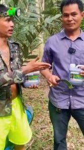 สินค้าทดลอง “พาราโกลด์” สูตร 2 สารทาหน้ายาง เพิ่มธาตุอาหารให้ต้นยาง ข่วยเพิ่มน้ำยาง ป้องกันรักษาเส้นดำ เปลือกเน่า หน้ายางแห้ง ปริมาณ 150ml.