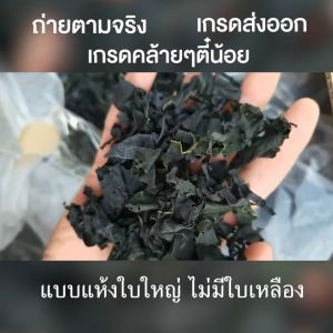 แท้💯สาหร่ายวากาเมะ เกรดส่งออก เกรดคล้ายตี๋น้อย วากาเมะใหม่ต้นฤดู สาหร่ายวากาเมะอบแห้ง พองตัวได้18เท่า Dried Wakame Seaw