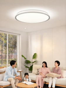 EYESPRO | Ergonomic Full Spectrum Circular Ceiling Light