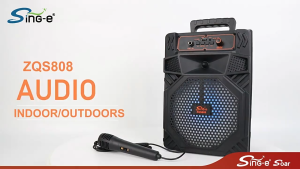 Portable Karaoke Speaker with mic Wired Microphone LED Lights USB/TF/AUX Rechargeable Party Speaker