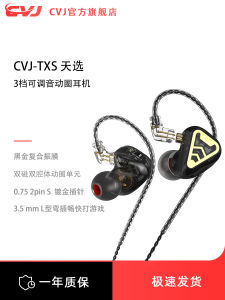 High Quality Computer Wired Dynamic In-Ear Headphones CVJ TXS Gaming Type-C Interface round Hole HiFi Sound Isolation Earbuds