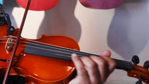 Warstag WV50 Violin with Triangle Case Bow and Rosin 3/4