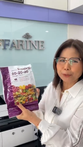 ส่งฟรี ปุ๋ยกิฟฟารีน ปุ๋ยเกล็ด กิฟฟารีน โกรแม็กซ์ อาหารหลัก รวมทุกสูตร คุณภาพมาตราฐานโลก ราคาคนไทย