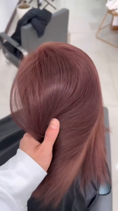 【 Ship SG 】 2025 FDA Plant Hair Dye 2 * 100ml 【 Free Gift 】: Hair dye tools hair dye hair dye products shampoo