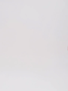 BAGSMART Plush Crossbody Bag Autumn Winter Cute Shoulder Bag Sling Bag Women Handbag with Purse