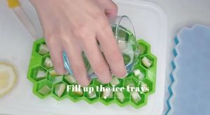 37 Grids Silicone Ice Cube Mold Tray Fruit Popsicle Maker With Square Shape Lid DIY Ice Jelly Mold