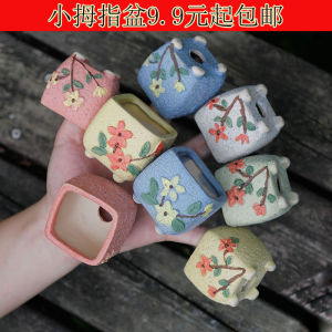 Miniature Succulent Thumb Pot Hand-Painted Raku Ceramic Special Small Size Controlled Shape Pot for Indoor Plant Decoration