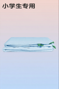 CORY | Dual-Use Blanket and Pillow Thickened