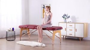 Foldable Massage Bed Facial Bed Portable Massage Bed Foldable Portable Massage Bed Physiotpy Table Bed For SPA Portable Folding Beauty Massage Bed Portable 美容床