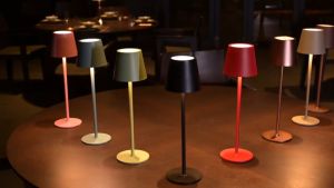 Modern LED Metal Cordless Table Lamp USB Rechargeable Touch Control Bedroom Decor Bedside Lighting Restaurants Outdoor Bar Table Lamp
