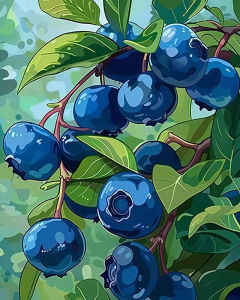 KAYOU | DIY Drawing By Numbers Blueberry Digital Oil Painting Fruit Arts And Crafts Kit For Adults Living Room Modern Home Decor Gift
