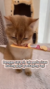 Cat Strip Feeder Portable Squeeze Feeder for Wet Food Snacks Cat Kitten Snack Scoop Easy Feed