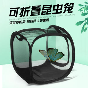 Foldable Butterfly Cage Insectarium Larva Cultivation Observation Box Netted Petri Dish Transparent Growth Chamber for Butterflies