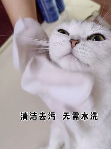 Maddie ถุงมืออาบนแมว ถุงอาบน้ําแมว ถุงมือทำความสะอาดแมว ถุงมือสัตว์เลี้ยงแบบน้ํา การเช็คแมวเป็นที่น่าสนใจ LI0481-2