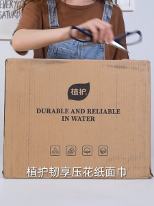 【12 Packs】Botare Gilded tissue 4-Ply 5760 Sheets facial tissue paper Deluxe Comfort Large Size tisu 190*151mm