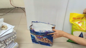 Túi đi chợ siêu thị xếp gọn nhẹ chống thấm bằng bạt nhựa dệt tráng nhựa 28x13 cao 28cm. tx136