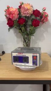 [HCM]Biến áp DNT 2kva 220v ra 100v 110v