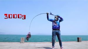 Joran Pancing Kuat & Murah: Tips Memilih Joran Pancing Terbaik