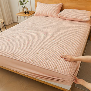 Waterproof Thickened Cotton Bed Canopy Single Piece Mattress Protector Full Cover Dustproof Bed Sheet Urine Barrier Bed Skirt