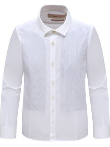 Mens Long Sleeve Shirt Spring Autumn Casual Business Versatile Cotton 140S Fashionable Standard Fit Regular Sleeve Length