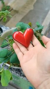 Bật Lửa Hình Trái Tim Xoay 360 Độ Siêu Đẹp - Xài Gas