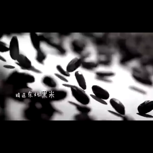 Yinlu Five Colour Eight Treasure Porridege 280g (Sweet) 银鹭好粥道