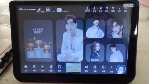 InAndon R5PROMATE 3IN1 15.6 Touch Screen Karaoke Player1TB HDD International systemAndroid AppYouTube on Line order songRecord And ShareSmart AI Remote Control