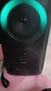 Brudo BTS-2091 Dual 6.5-inch Professional Bluetooth Speaker