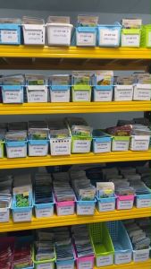 ถั่วฝักยาวพุ่มม่วง CT-OP-150 ถั่วฝักยาวพุ่มม่วง ผักซอง เจียไต๋ ถั่วฝักยาว เมล็ดพันธุ์ผัก เมล็ดผัก เมล็ดพืช ผักสวนครัว ประมาณ 60 เมล็ด