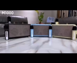 Loa Karaoke Bluetooth WIRELESS PARTY BOX M1000 Kèm 2 Micro