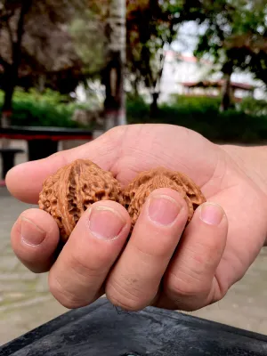 WOKANG | Hand Exercising Fitness Baoding Balls White Lion Head