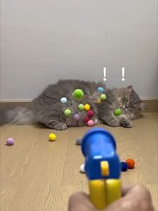 (COD) ปืนยิงแมว ของเล่นสำหรับแมว ของเล่นแมว เสริมความสัมพันธ์เจ้าของและน้องแมว พร้อมส่งจากไทย