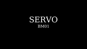SERVO | SERVO BM01 Mini Mobile Phone Magic Voice Speed Dial Bluetooth Dial-up Call Recording 2 SIM Standby 2G GSM Small Backup Cellphone