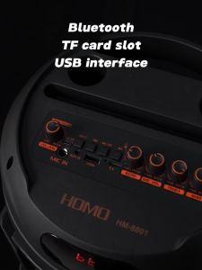 8000W Bluetooth Karaoke Speaker & Party Jukebox: A Comprehensive Guide