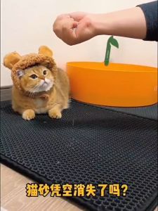 แผ่นดักทรายแมว 2 ชั้น EVA ดักทรายแมว 5 สี หลายขนาด เสื่อแมว Cat Litter Mat