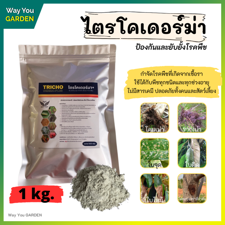 ไตรโคเดอร์มาผง 1 กก. ป้องกันโรคพืชและกำจัดแมลง