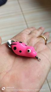 Soft frog Lure ikan gabus Sigacor mini ukuran 3cm berat 5gram di buat oleh pemancing yang handal dari bahan karet lentur premium doble hook yang tajam anti karat