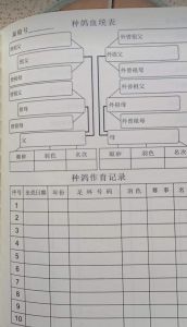 Pigeon Breeding Supplies Racing Pigeon Records Book Direct Bloodline Race Training Tools Bird Caring Equipment Pet Pigeons