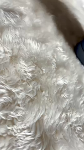 (สินค้านำเข้า) กระถางต้นไม้  ทรงเบลเยี่ยมสีเหลี่ยม สไตล์มินิมอล มี 3สี3ขนาด สินค้าพร้อมจัดส่ง